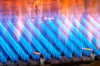 Trewyn gas fired boilers